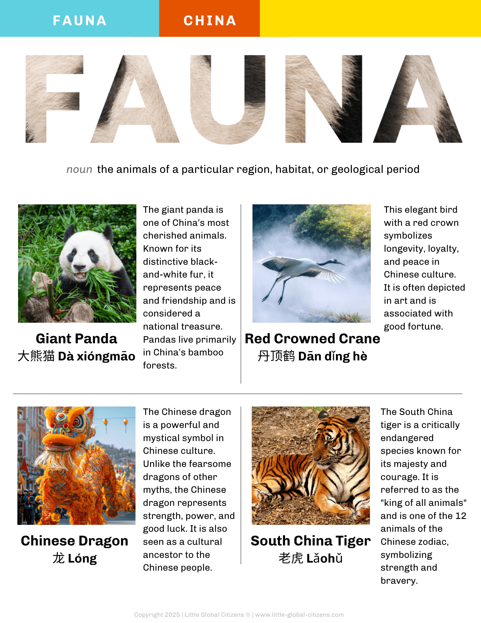 China Digital Country Guide